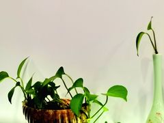 -茶油香闽南菜·花园餐厅(前埔店)