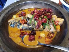 段氏绝味鱼头-柿合缘新京菜(国金中心商场店)