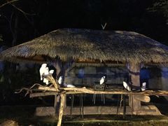 -清迈夜间动物园