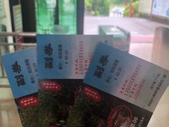 -九鲤湖风景区