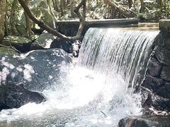 -马峦山郊野公园