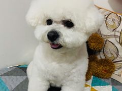 -宠物家(双井店)