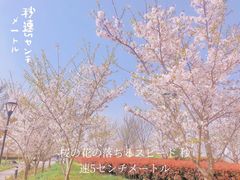 -上海山野camping·户外天幕烧烤·团建拓展营地