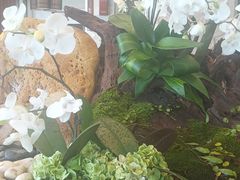 -七仙岭君澜度假酒店