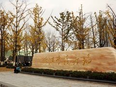 -两江幸福广场