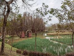 -森波拉奇妙世界