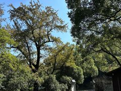 -宁波市保国寺古建筑博物馆