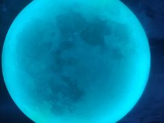 -天津梵高星空艺术馆(天河城旗舰店)