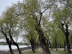 -长春市南湖公园