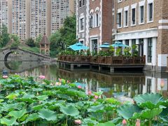 -成都南湖公园