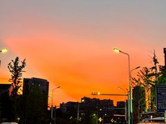 -小芳砂锅凉粉(总店)