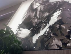 -MODEL SAGA名媛世家