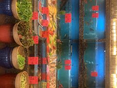 -老街渔味馆(芳华店)