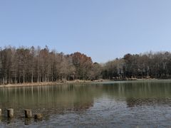 -慈城古县城景区