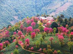 -无量山自然风景保护区