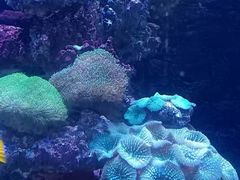-正佳极地海洋世界