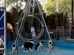 -泉州海丝野生动物世界