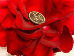 -PETIT PARIS 小巴黎(花园道店)