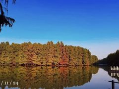 -上海海湾国家森林公园