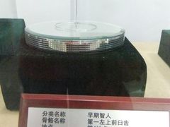 -北京周口店北京人遗址博物馆