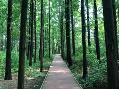 -同里国家湿地公园
