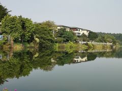 -松山湖梦幻百花洲