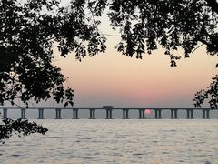 -宝安西湾红树林湿地公园