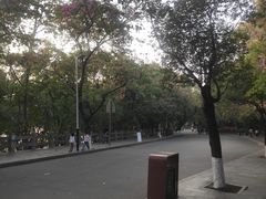 -水濂山森林公园