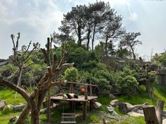 -宁波野生动物园