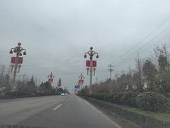 -罗记香霸头乌鱼庄(丹棱店)