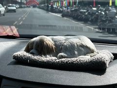 -品香排骨饭(羊官路店)