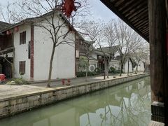 -鲁镇