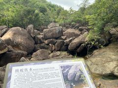 -广州白江湖森林公园