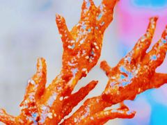 -不是烧烤·武汉大排档(亚运村店)