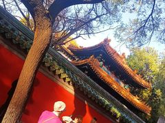 -北京国子监胡同