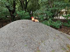 -热田神宫