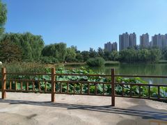 -燕郊植物园