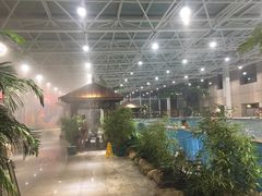 -盛彼得温泉度假酒店