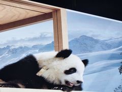-春熙路步行街