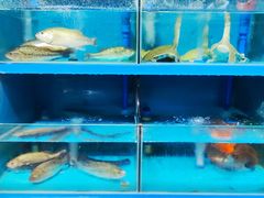 -乡里八闽·福州乡土菜(高宅店)