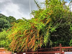 -昆明市金殿名胜区