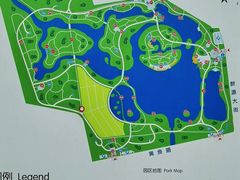 -大兴滨河森林公园