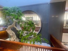 -高玛纳驴肉火烧(河间总店)