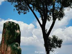 -火炉山森林公园