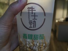 -德禄酸奶(莫家街店)