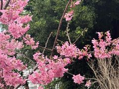 -乌山风景区