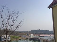-大塘金香草谷