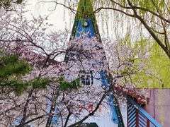-黑龙江省森林植物园