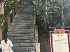 -云碧峰国家森林公园