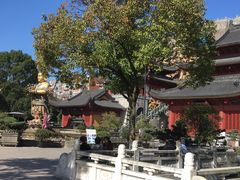 -上海东林寺(金山区)